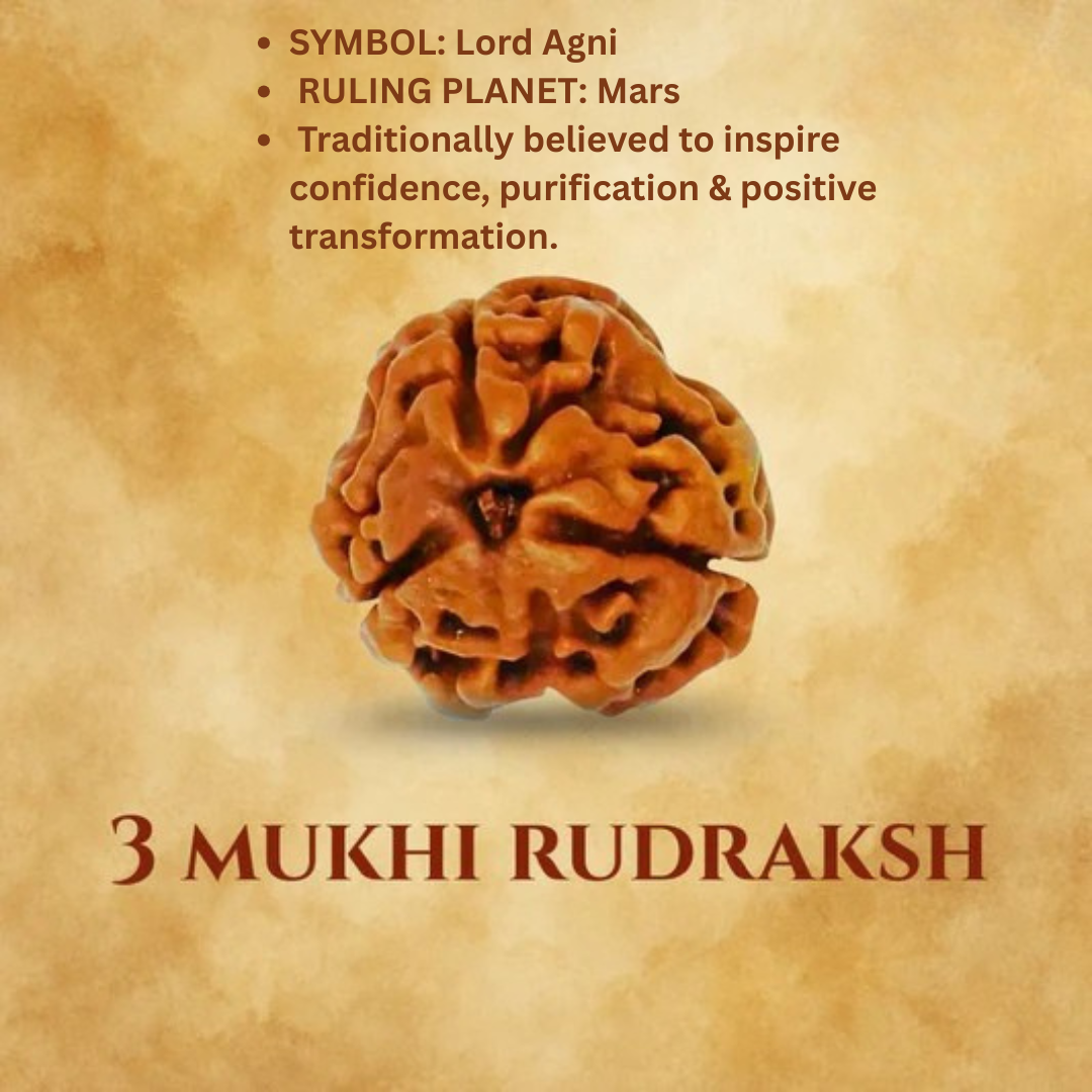 Mukhi Rudraksha Bead Certified