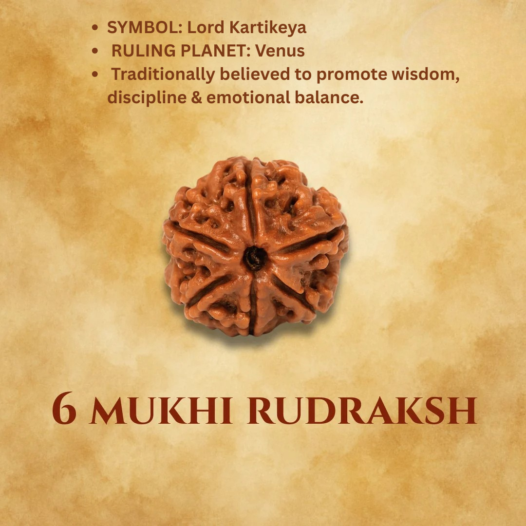 Mukhi Rudraksha Bead Certified