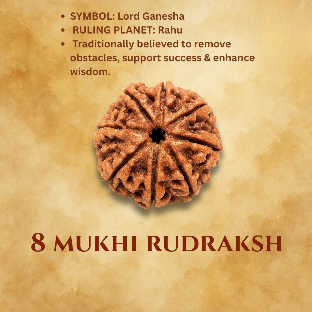 Mukhi Rudraksha Bead Certified