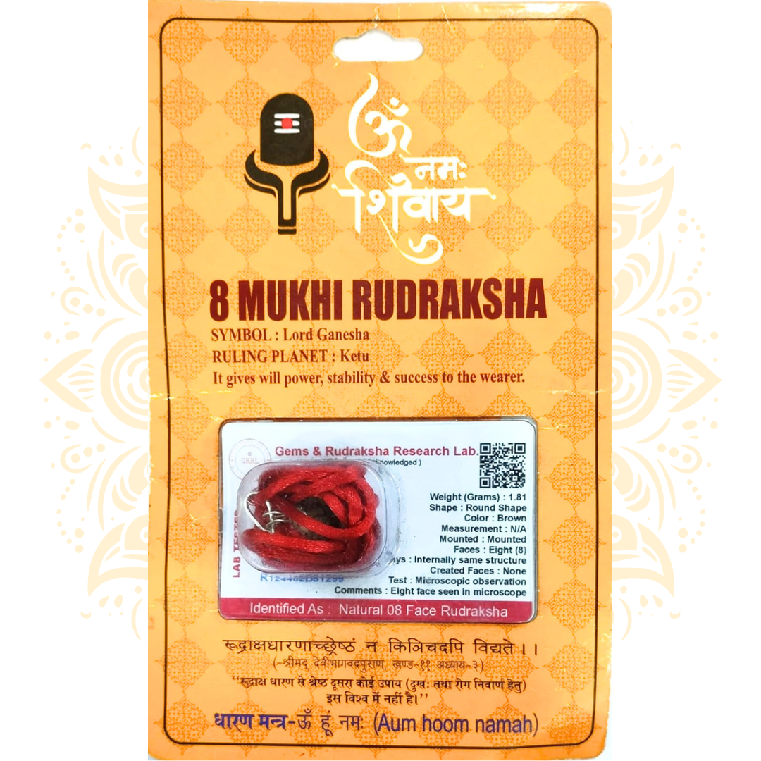 Mukhi Rudraksha Bead Certified