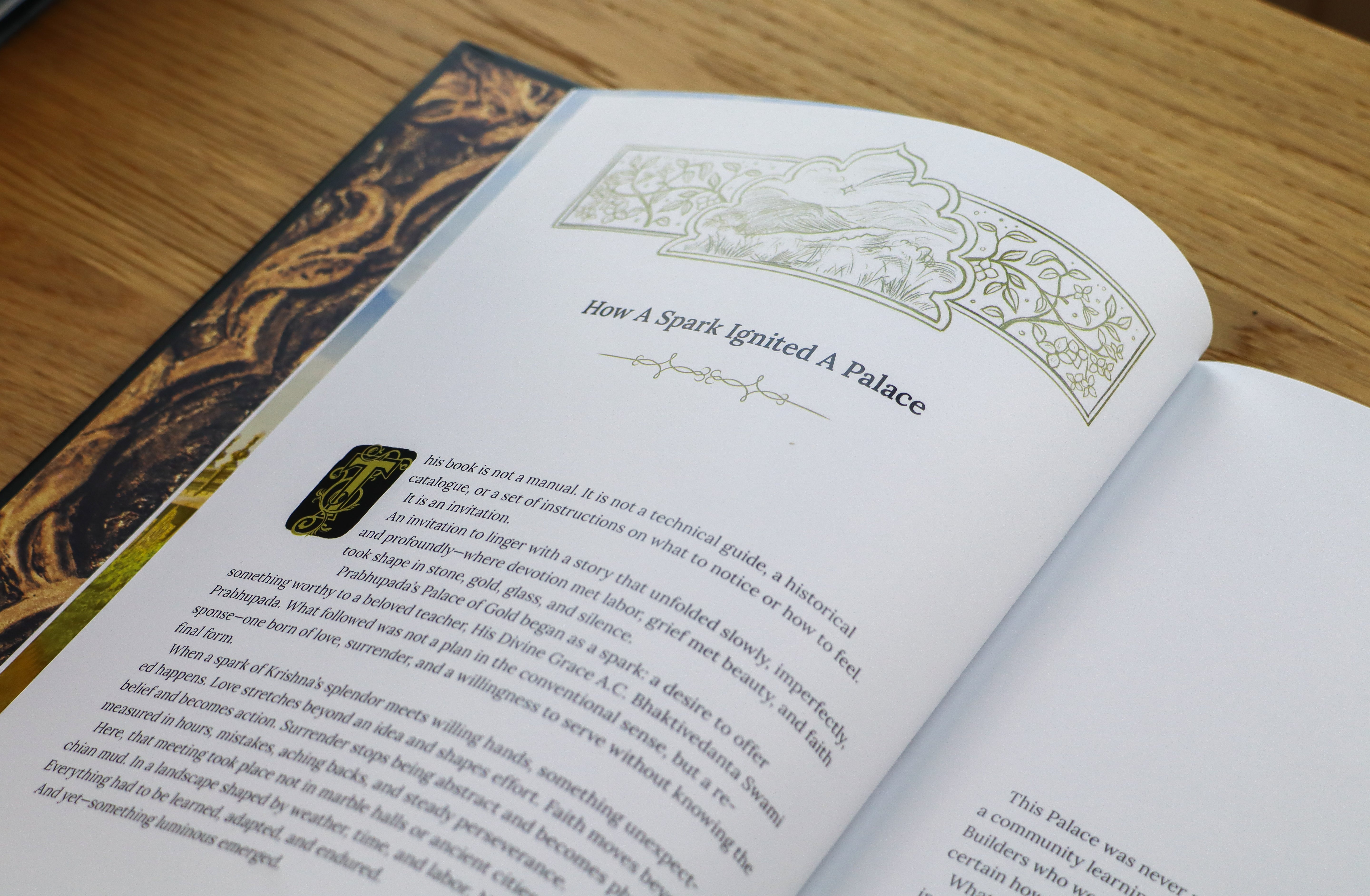 The Palace That Built Us - An Illustrated, Historical Book