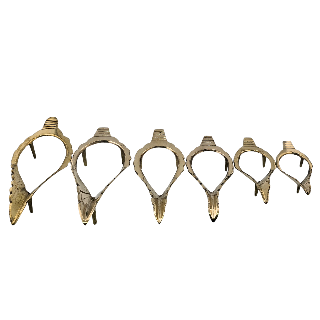 Conch Stand Flat - 4"-7.5"