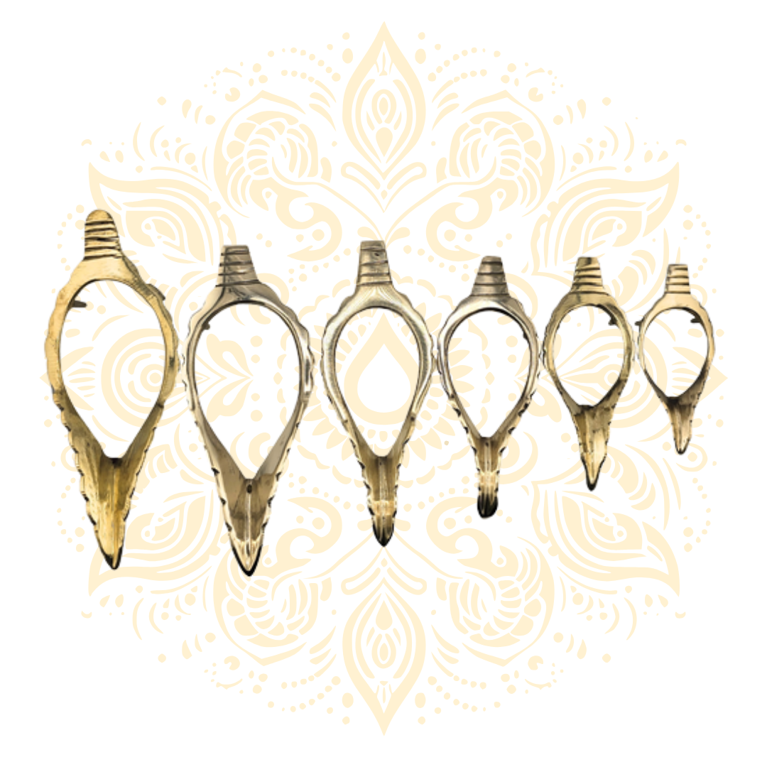 Conch Stand Flat - 4"-7.5"