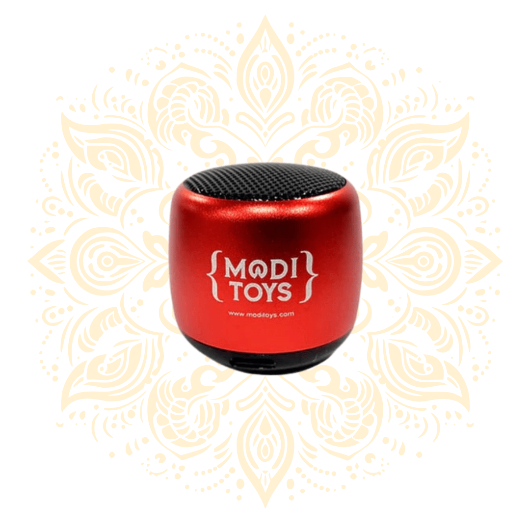 Portable Bluetooth Speaker – Wireless Audio Player - Matchless Gifts1