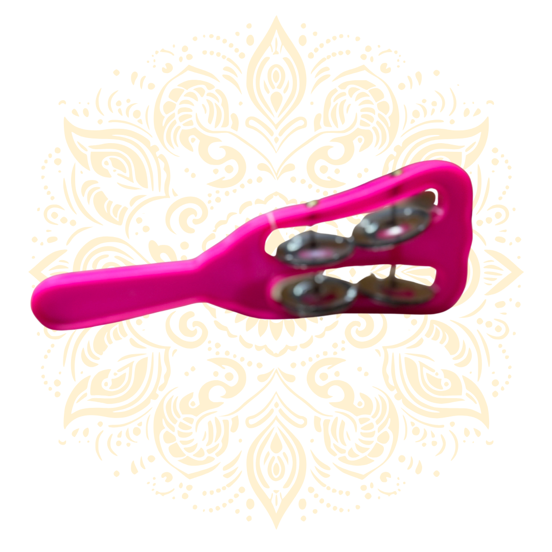 Colored Shaker Instrument