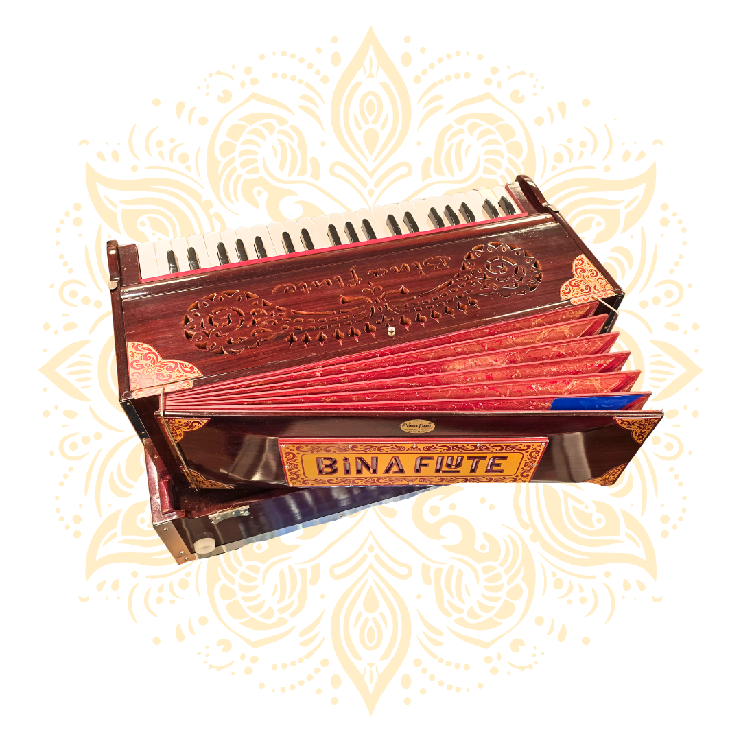 Bina Harmonium 3.5 Octave 2 Reed Set - Matchless Gifts4