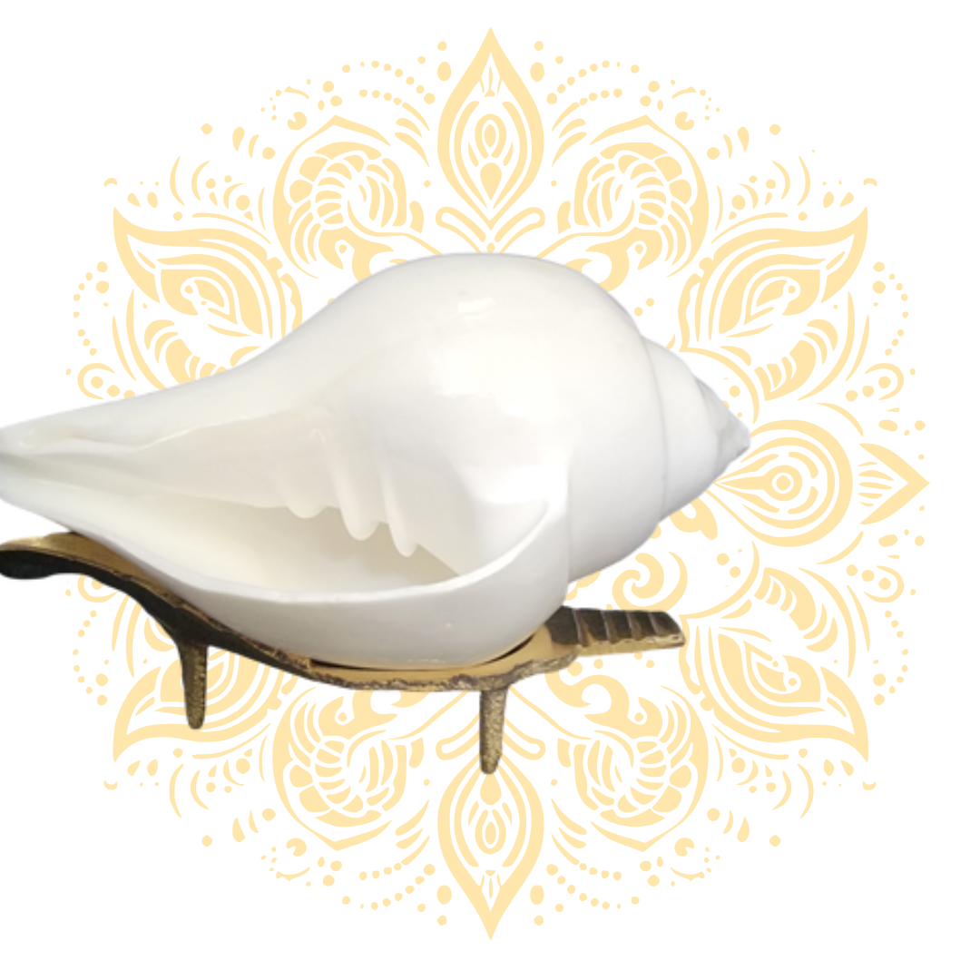 Small White Pouring Conch Shell (Jala Shankh) 4-5" - Matchless Gifts