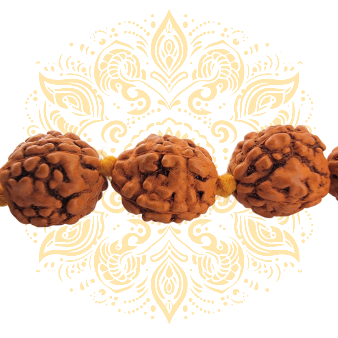 Small Rudraksha Beads Mala 32"
