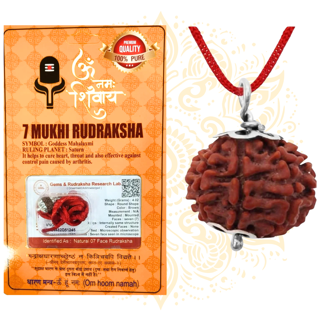 Mukhi Rudraksha Bead Certified