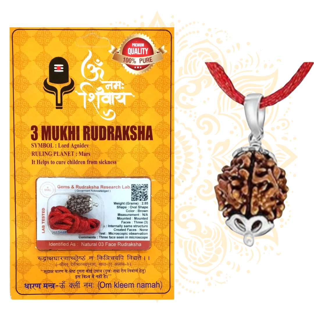 Mukhi Rudraksha Bead Certified