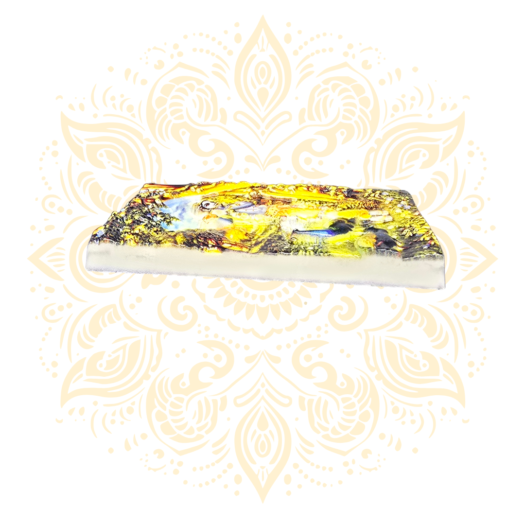 3D Resin Decorative Refrigerator Magnet - Matchless Gifts14