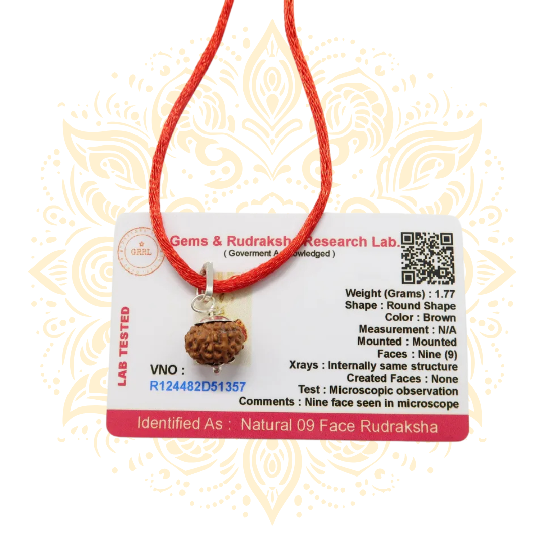 Mukhi Rudraksha Bead Certified