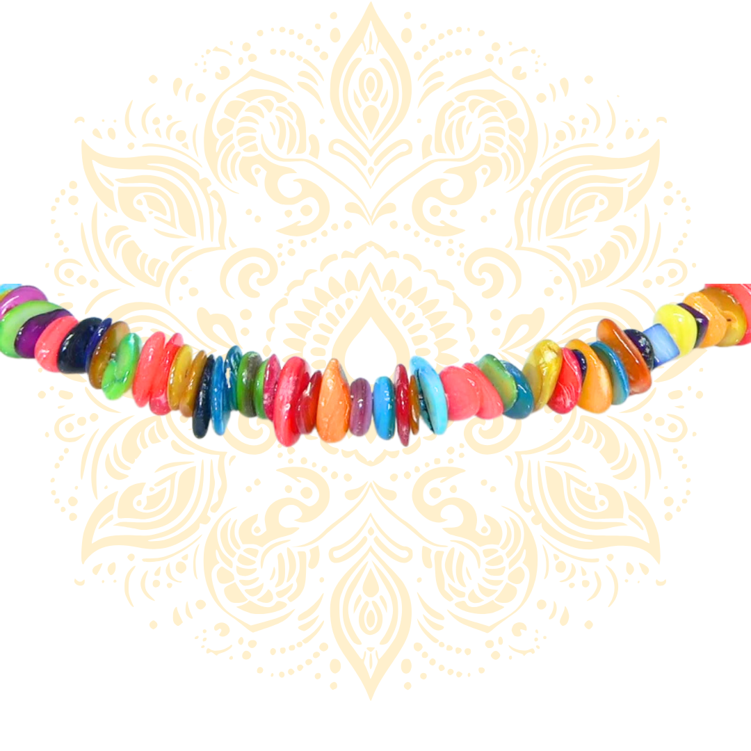 Colorful Shell Chip Necklace and Earring Set