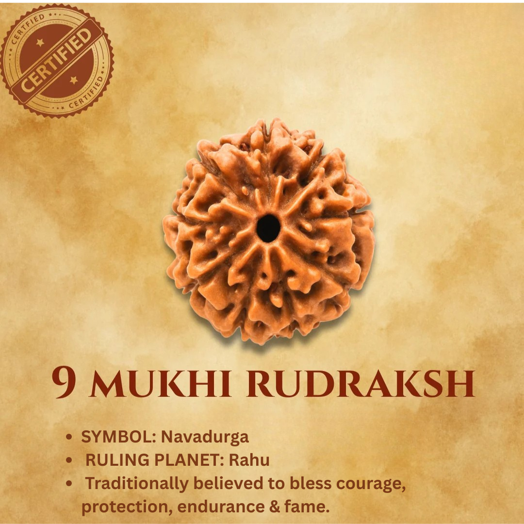 Mukhi Rudraksha Bead Certified