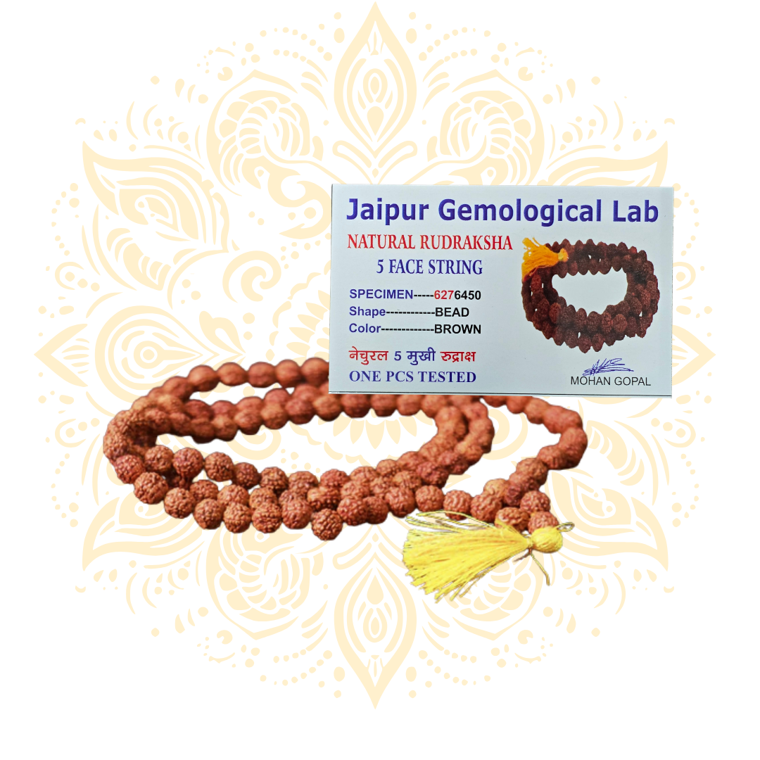 5 Mukhi Rudraksha Mala Necklace 16.5”