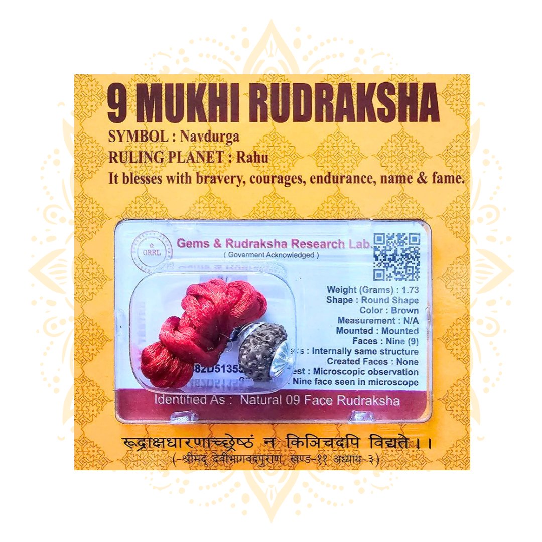 Mukhi Rudraksha Bead Certified