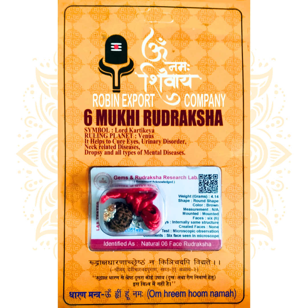 Mukhi Rudraksha Bead Certified