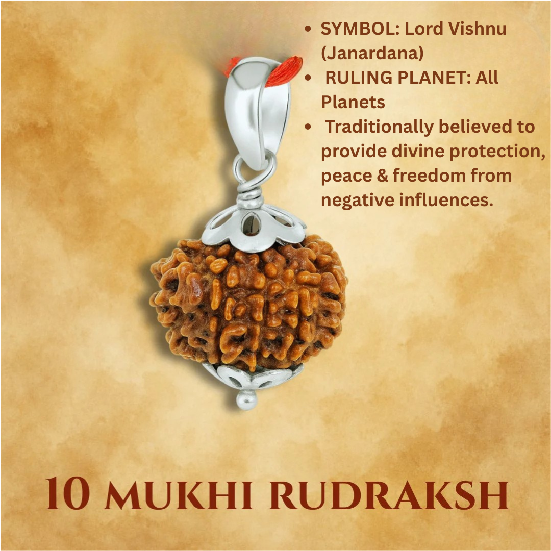 Mukhi Rudraksha Bead Certified