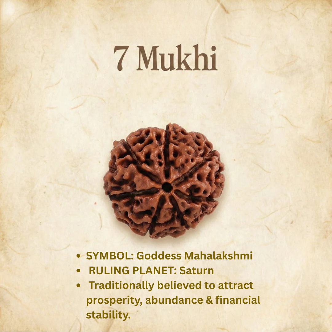Mukhi Rudraksha Bead Certified