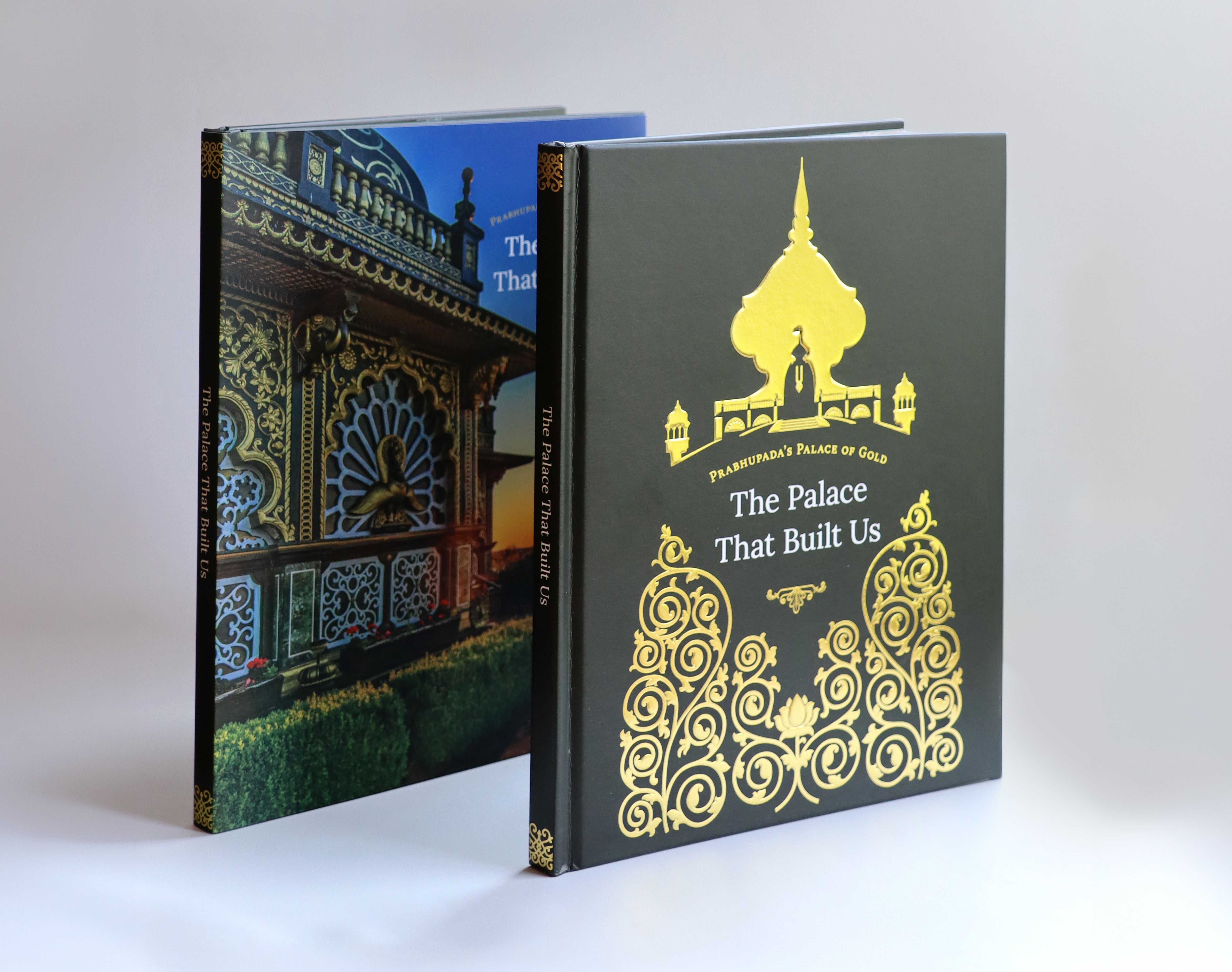 The Palace That Built Us - An Illustrated, Historical Book
