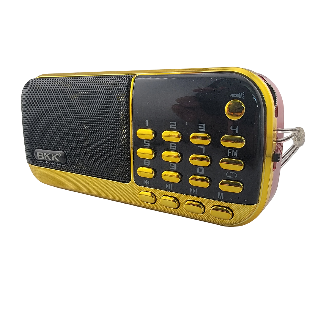 Srila Prabhupada Complete Audio Archives – 1400 Hours on Rechargeable Audio Player - Matchless Gifts4