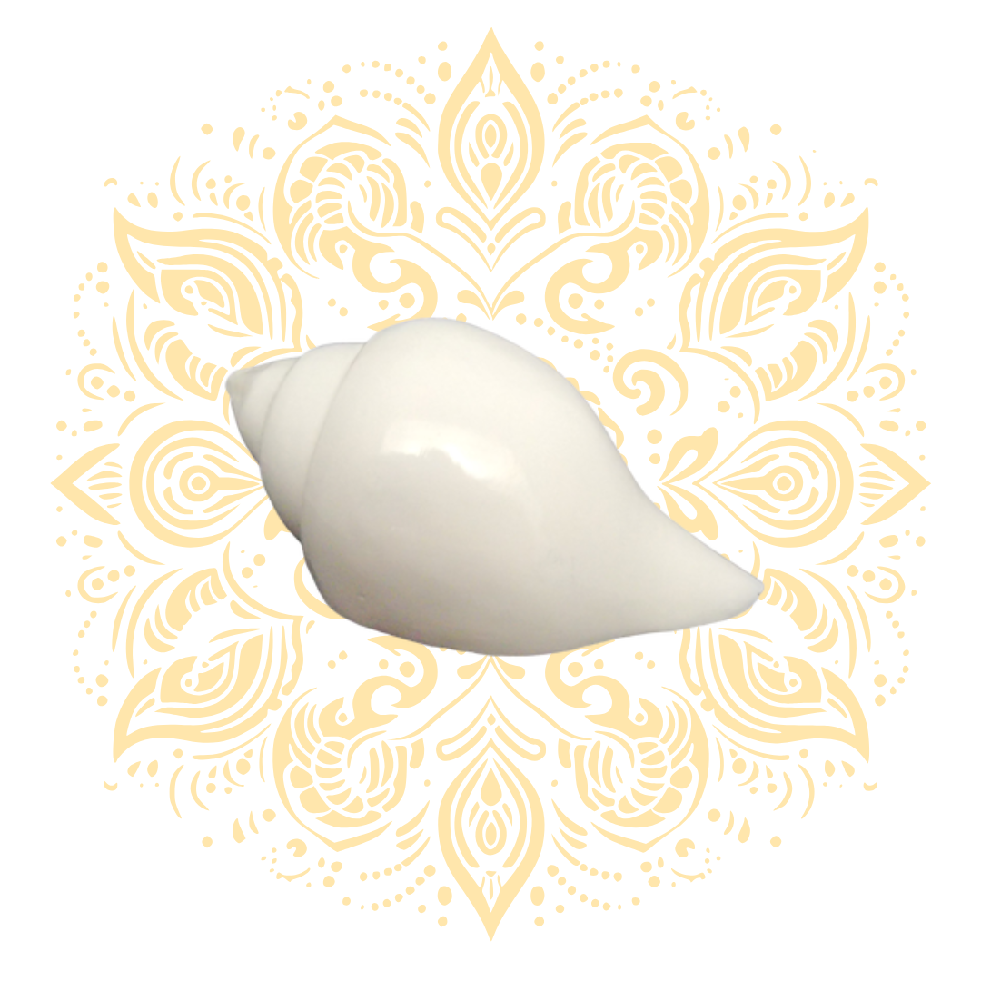 Small White Pouring Conch Shell (Jala Shankh) 4-5" - Matchless Gifts