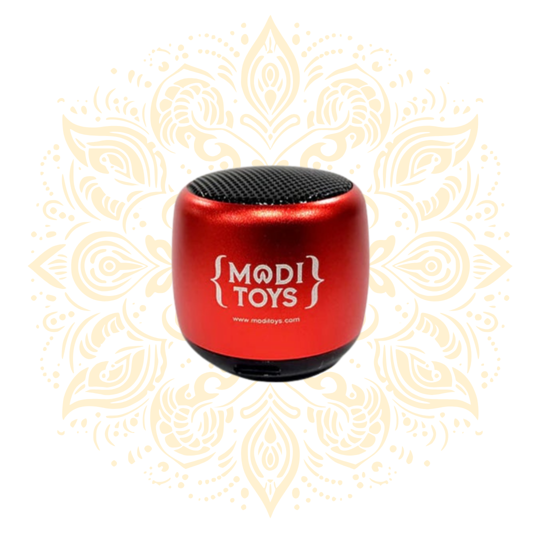 Bluetooth Speaker