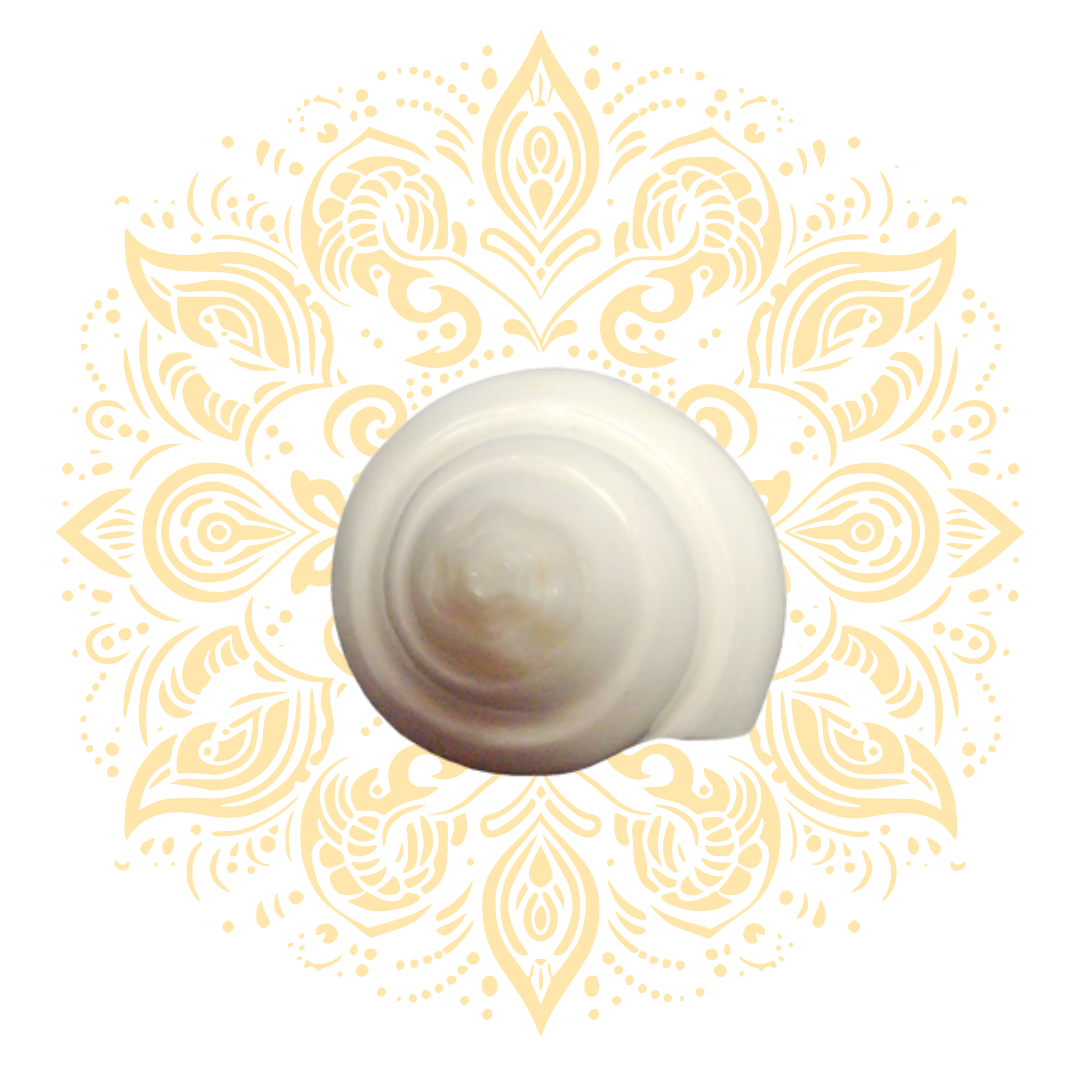 Small White Pouring Conch Shell (Jala Shankh) 4-5" - Matchless Gifts