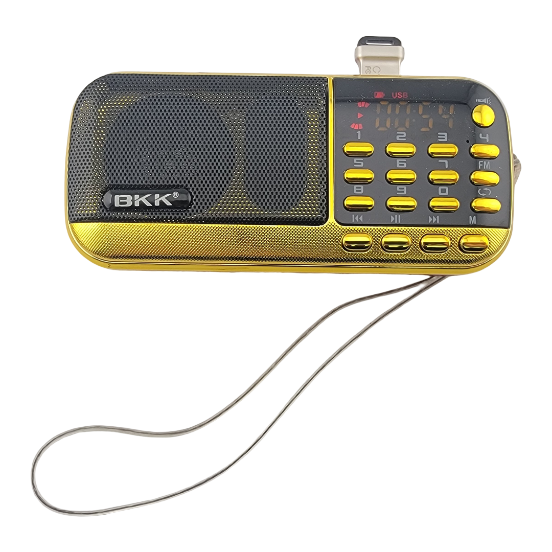 Srila Prabhupada Complete Audio Archives – 1400 Hours on Rechargeable Audio Player - Matchless Gifts5